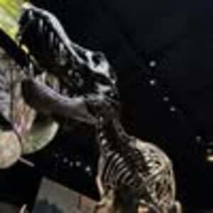 Meet your Posher, Renee